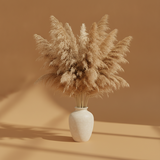 Dried Pampas Grass