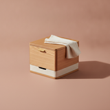 Cajas de Almacenaje