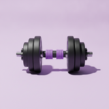 Fitness Equipment