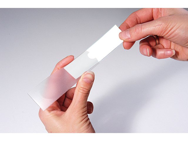 Label holder Kangaro self-adhesive 25x75mm pack 12 pcs.