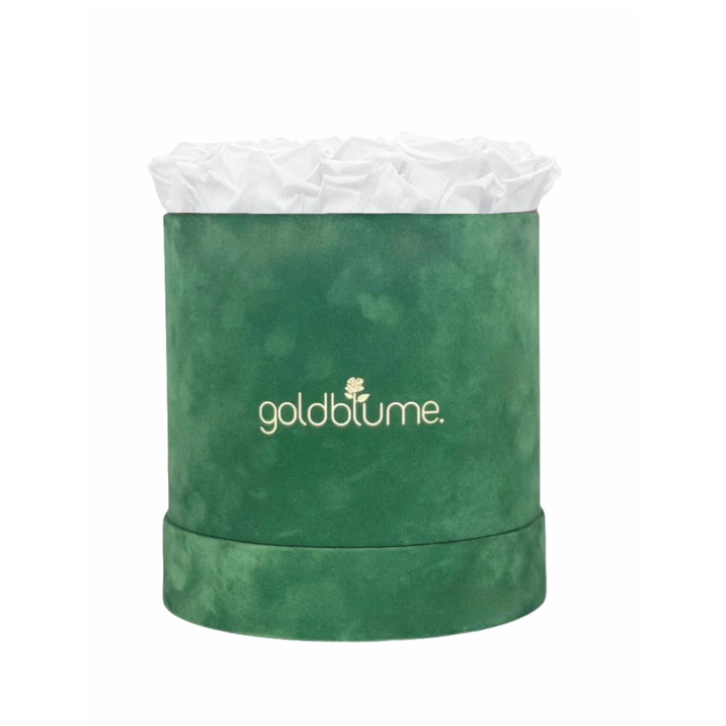 Velvet Green Collection
