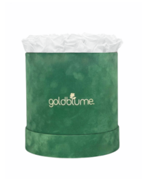 Velvet Green Collection