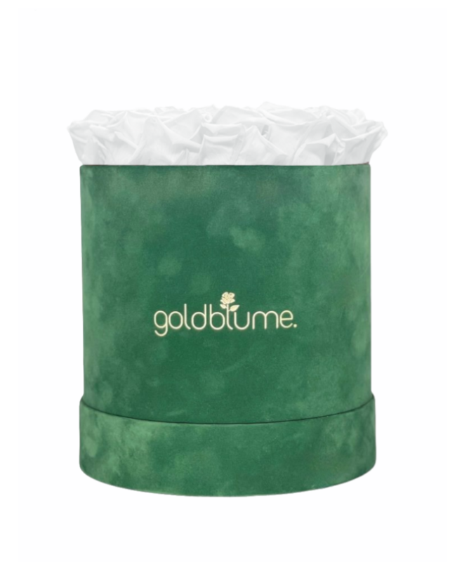 Velvet Green Collection
