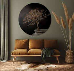 Cercle Mural - Berce du Caucase - Qualité Dibond Premium
