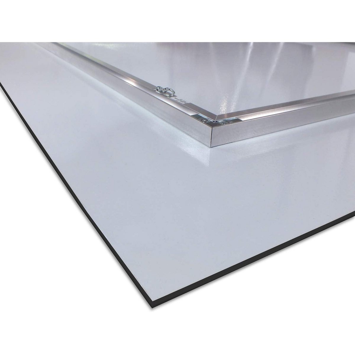 Acrylic glass billeder - Tawny