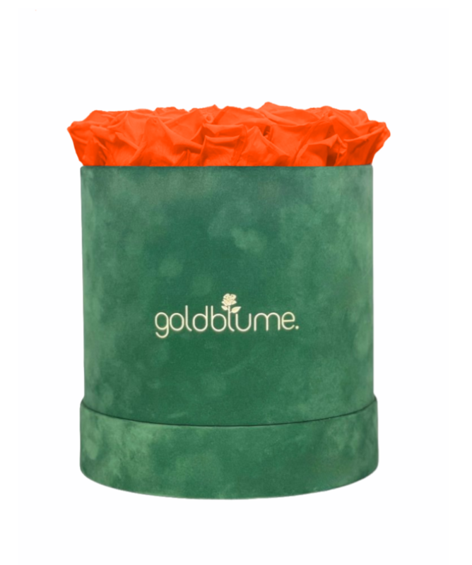 Velvet Green Collection