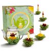 Creano Teeblumen Mix - Geschenkset Erblühtee im modernen Blumendesign mit Glaskanne, Grüner Tee fruchtig aromatisiert (6 Sorten)