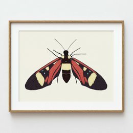 21x30 cm (A4)