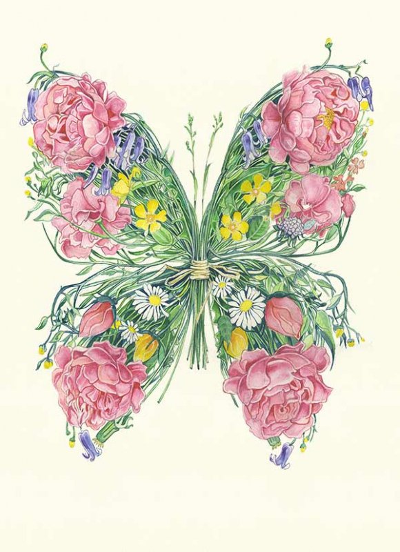 E063 - butterfly