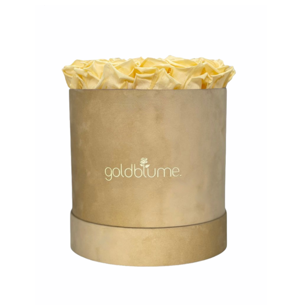 Colección Terciopelo Beige