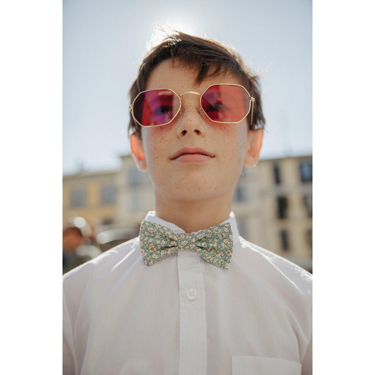 Papillon Letnie niebo