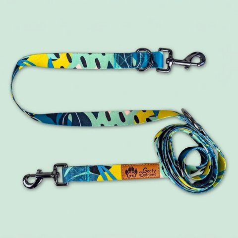 Multi-position reef leash