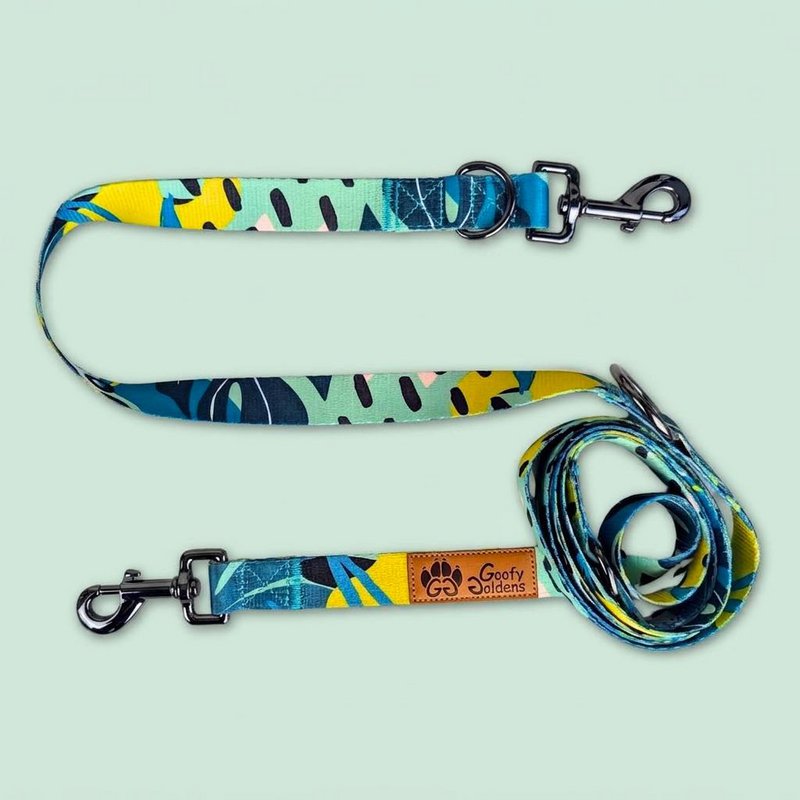Multi-position reef leash