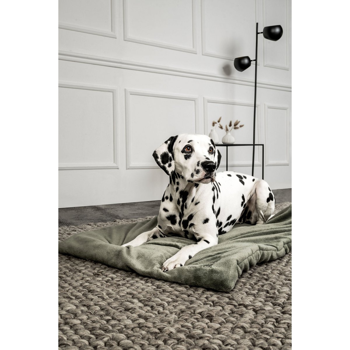 Hundedecke Emma Moosgrün (veganistisch)