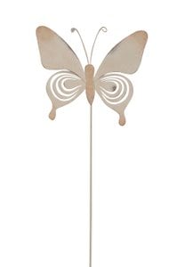 Butterfly a. St.