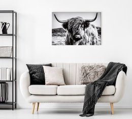 Wandfoto HOCHLANDRIND 60x90 cm canvas foto op spieraam decoratie modern