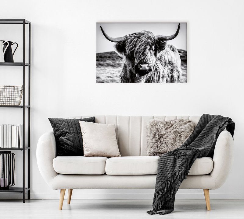 Wandfoto HOCHLANDRIND 60x90 cm canvas foto op spieraam decoratie modern