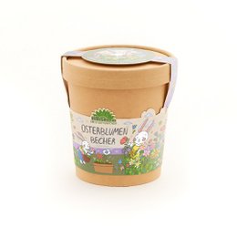 Blümchen aus dem Becher