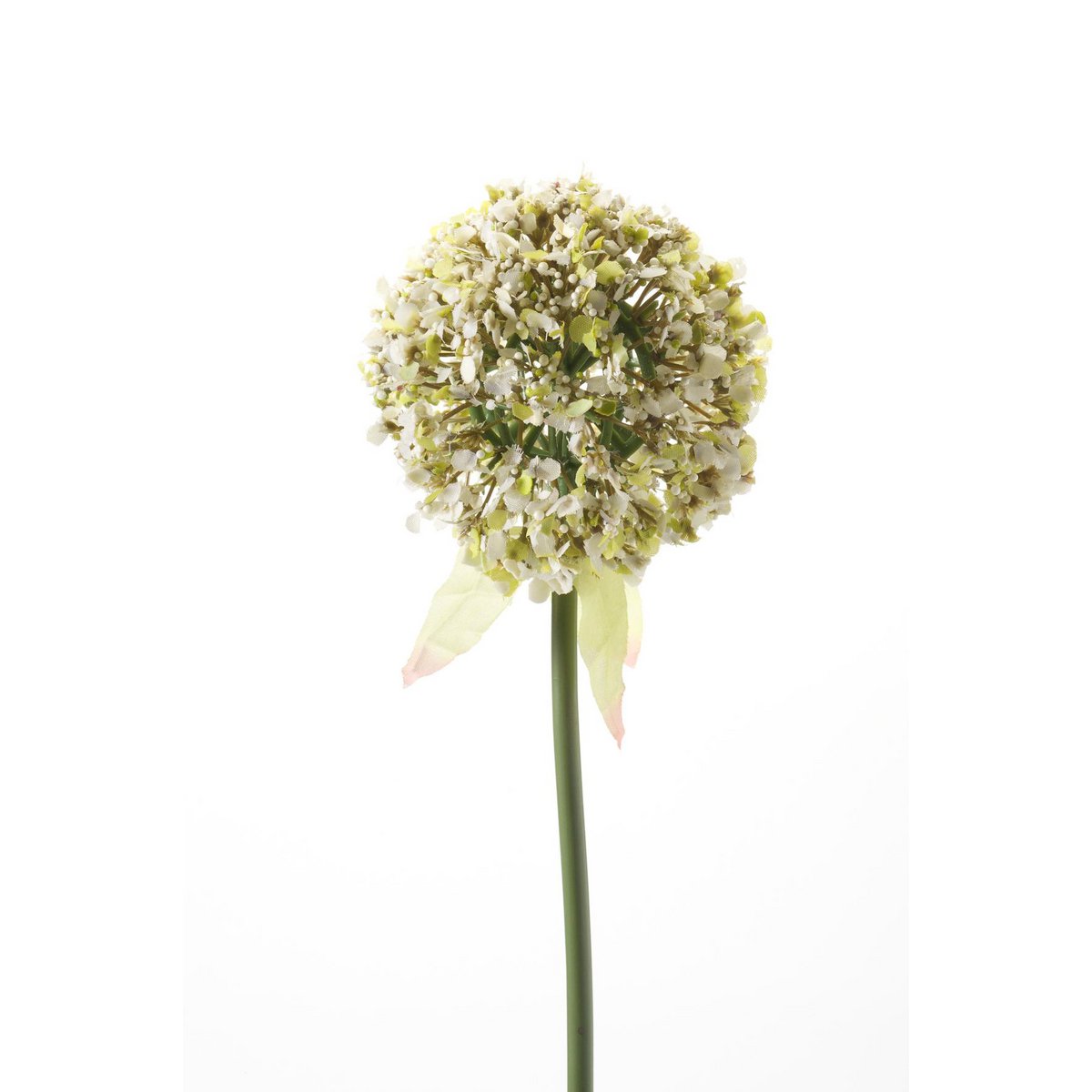 Kunstbloemen Solo - biały - kwiat czosnku - x 7 - 70 cm