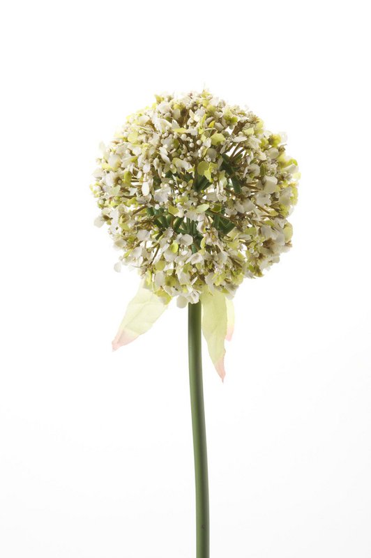 Kunstbloemen Solo - Hvid - Allium Blomst - x 7 - 70 cm