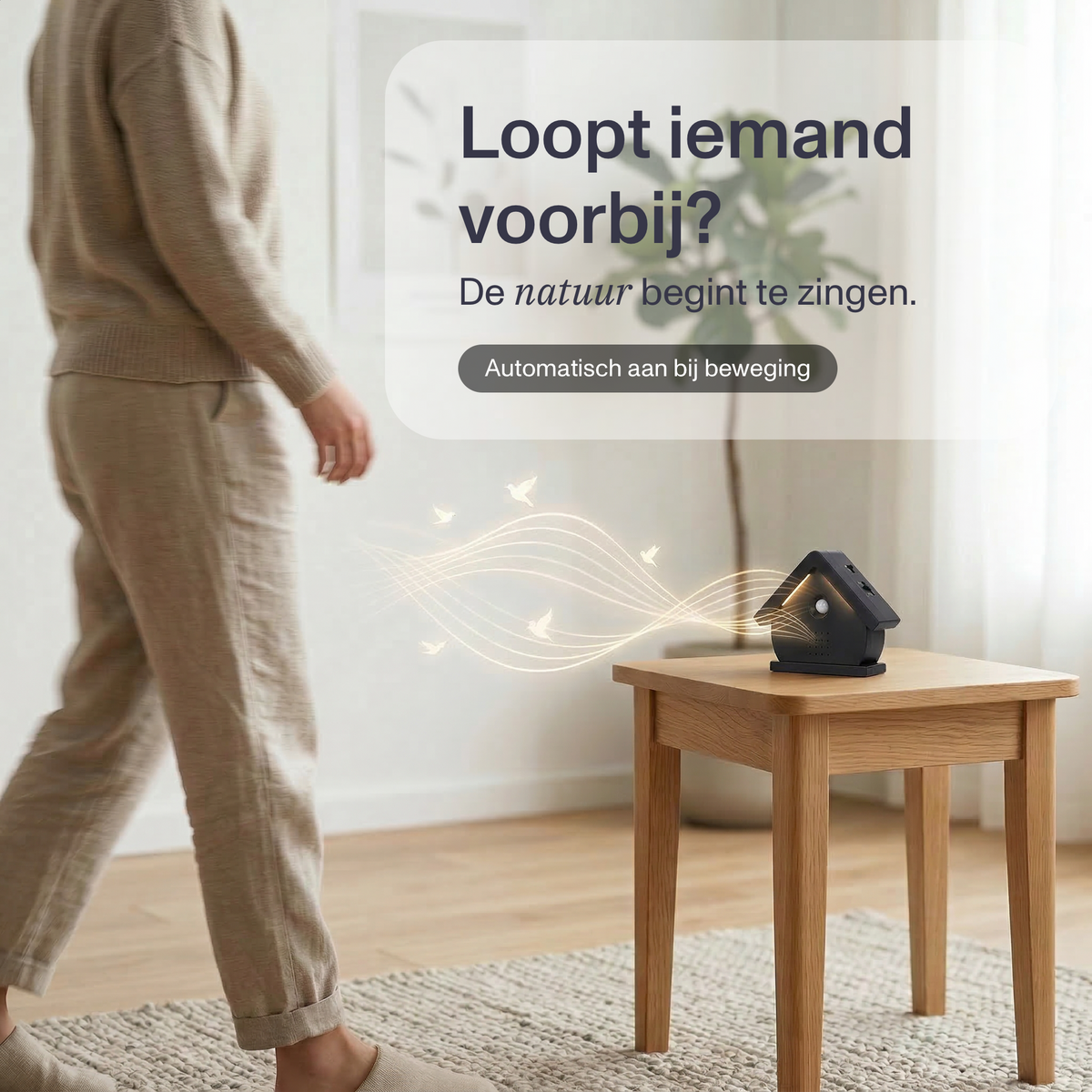 Nichoir Melodiez avec son - Boîte incl. Lumière LED, piles et 5 sons naturels d'oiseaux, d'océan et de jungle - Lumière de minuit