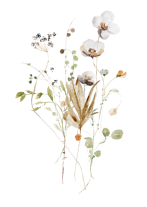 Nachhaltige Karte `Wildblumen