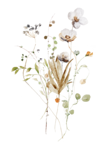 Nachhaltige Karte `Wildblumen