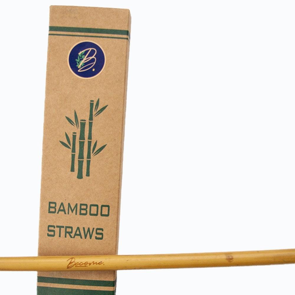 Bamboo straws (set of 6 brush)