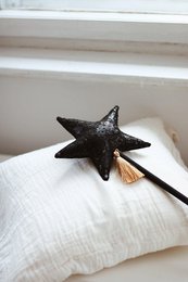 "Black pailletten" kroon en toverstaf magische set
