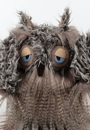 Miss Night Owl, BeastsTown