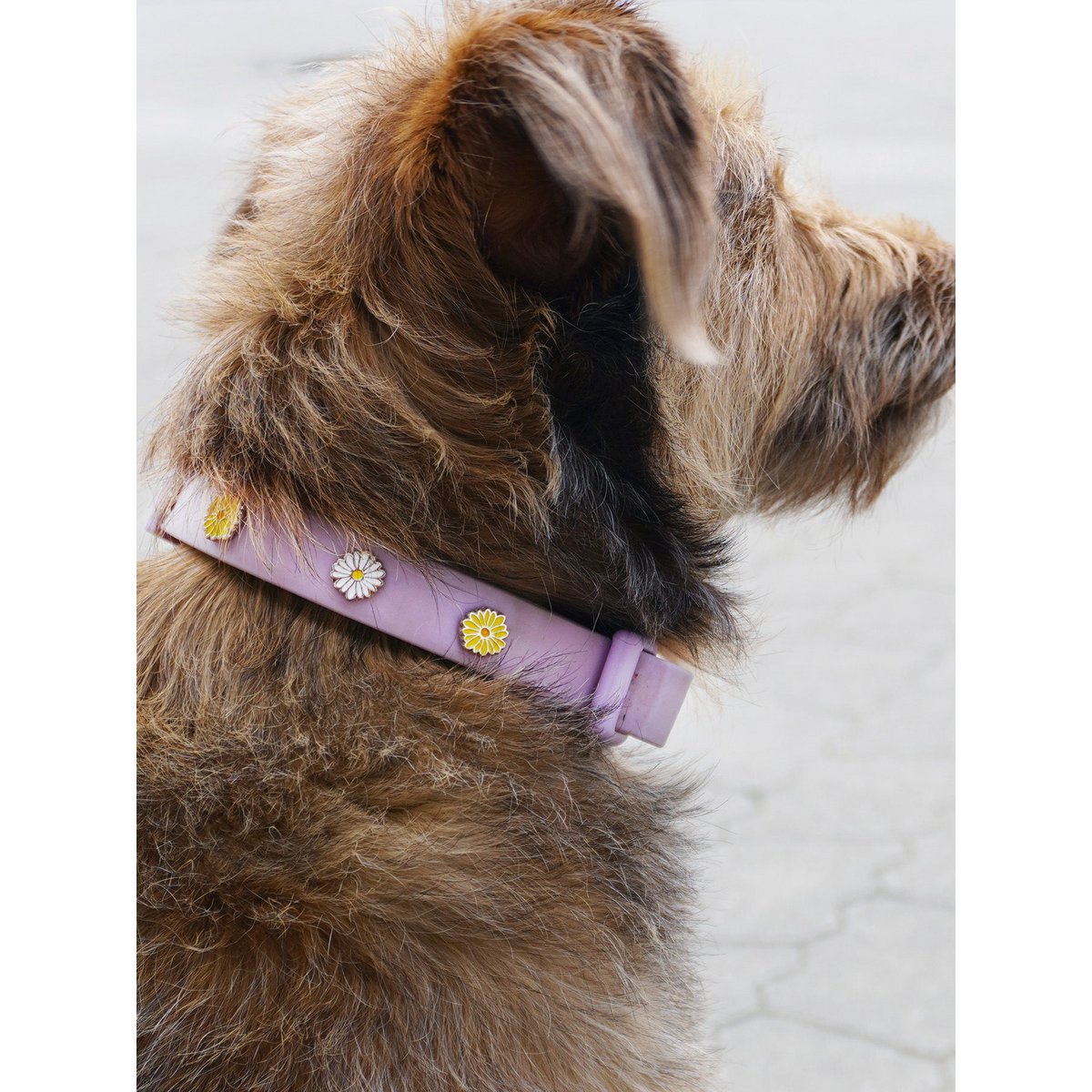Flower dog collar pendant