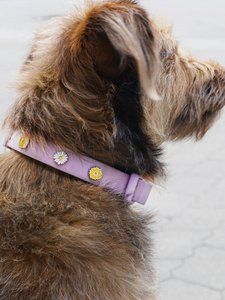 Flower dog collar pendant