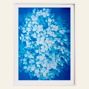 Risography - Atprint Poster - Hartensa - Day 1