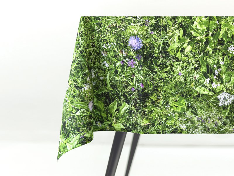 PRAI ALPIN - nappe