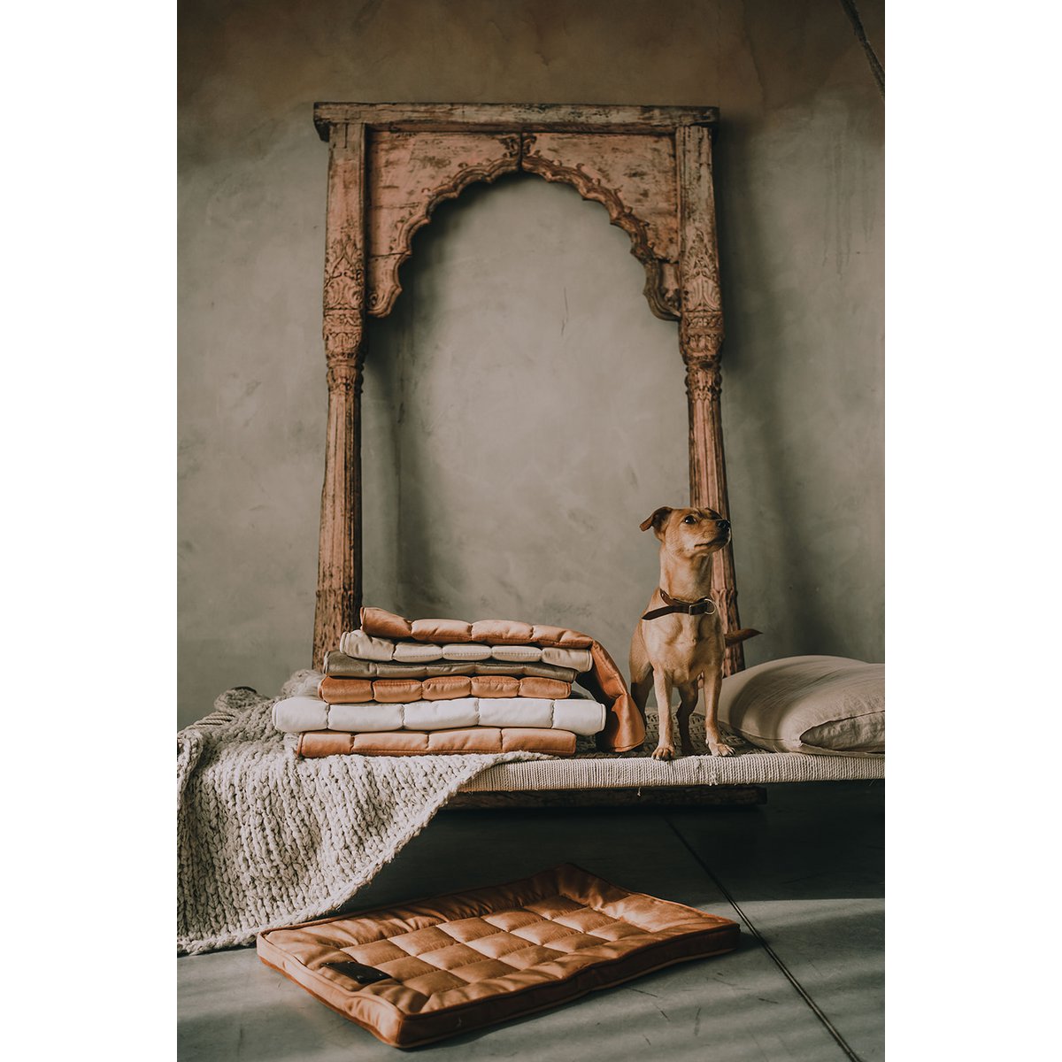 Ein Bett, ein Hund und eine Katze aus der flauschigen Welpenmarke, Veloursmaterial, 16 Farben, handgefertigt!