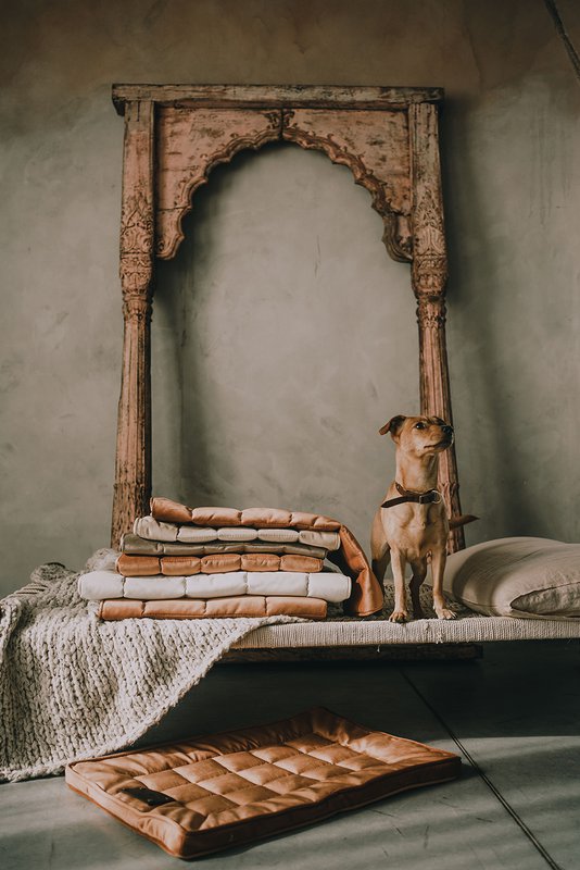 Un lit, un chien et un chat de la marque de chiot moelleux, du matériau en velours, 16 couleurs, fabriqués à la main!