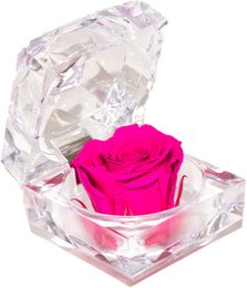 jewel box