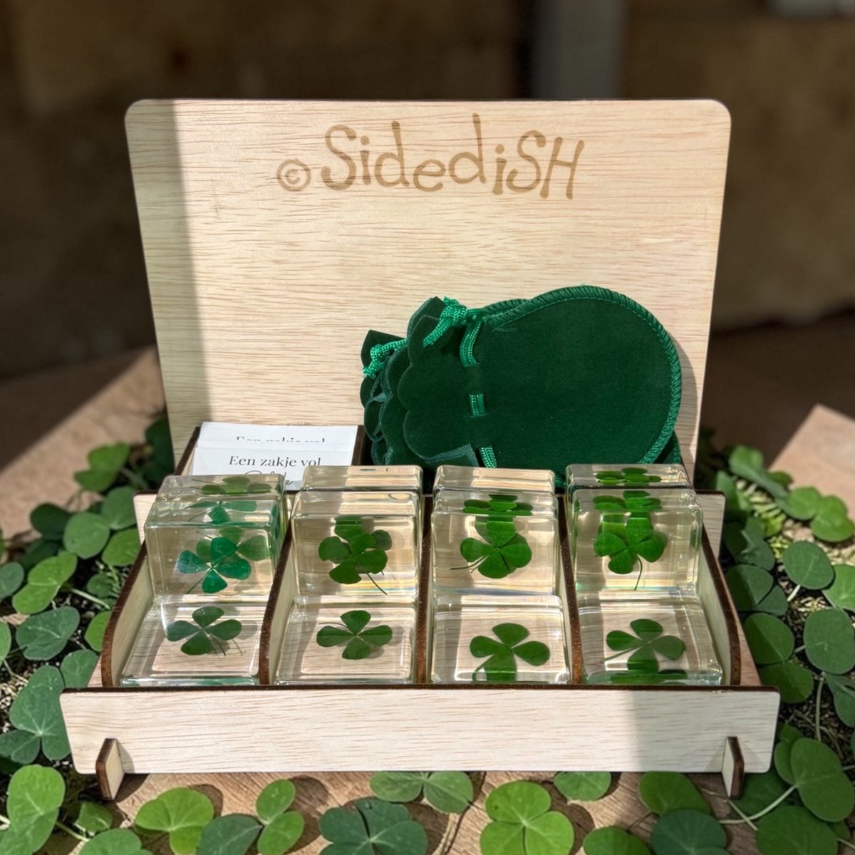 Four-leaf clover plexiglass