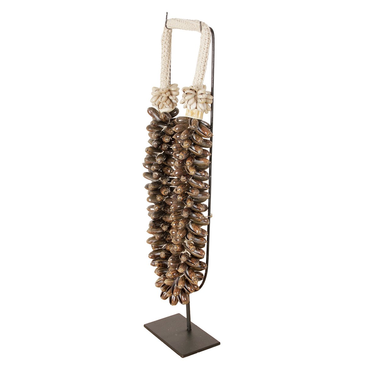 Collier Coquillage J62 Sur Support