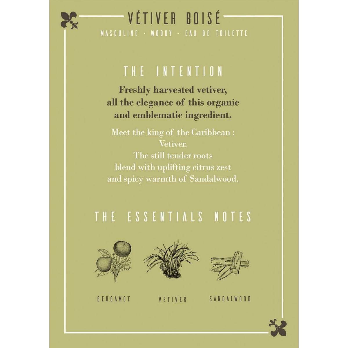 Vetiver Amaderado Eau de Toilette 50ml