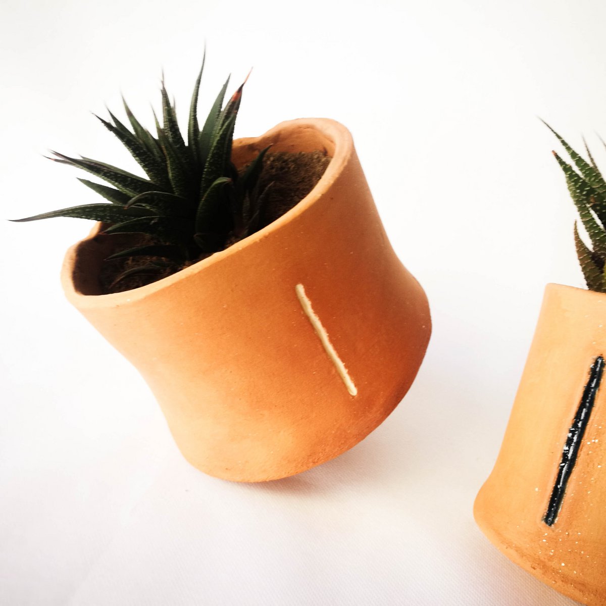Gran Petit Terracotta Planter