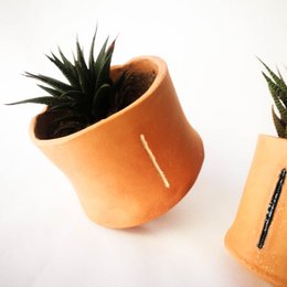Terracotta planter with succulent plants, featuring a round, tall shape and natural earthy color.