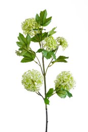 Kunstige blomster Solo - Creme - Viburnum Opulus Grene - x 4 - 75 cm