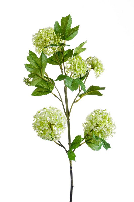 Kunstige blomster Solo - Creme - Viburnum Opulus Grene - x 4 - 75 cm