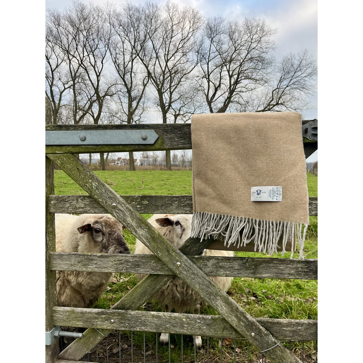 2 -seitige Plaids - 80% Merinowolle - extra weiche - lebendige Farben