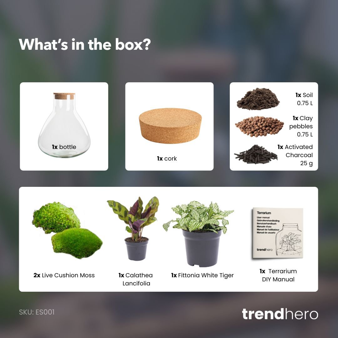 Terrarium DIY Kit - Sammie - Bottle Garden - ↑ 27 cm