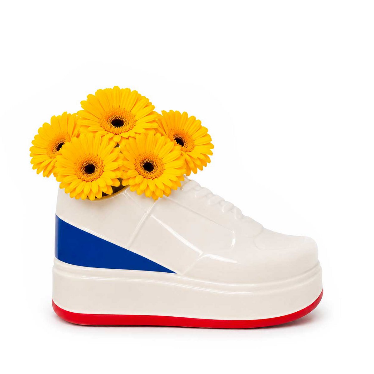 Vase Sneaker