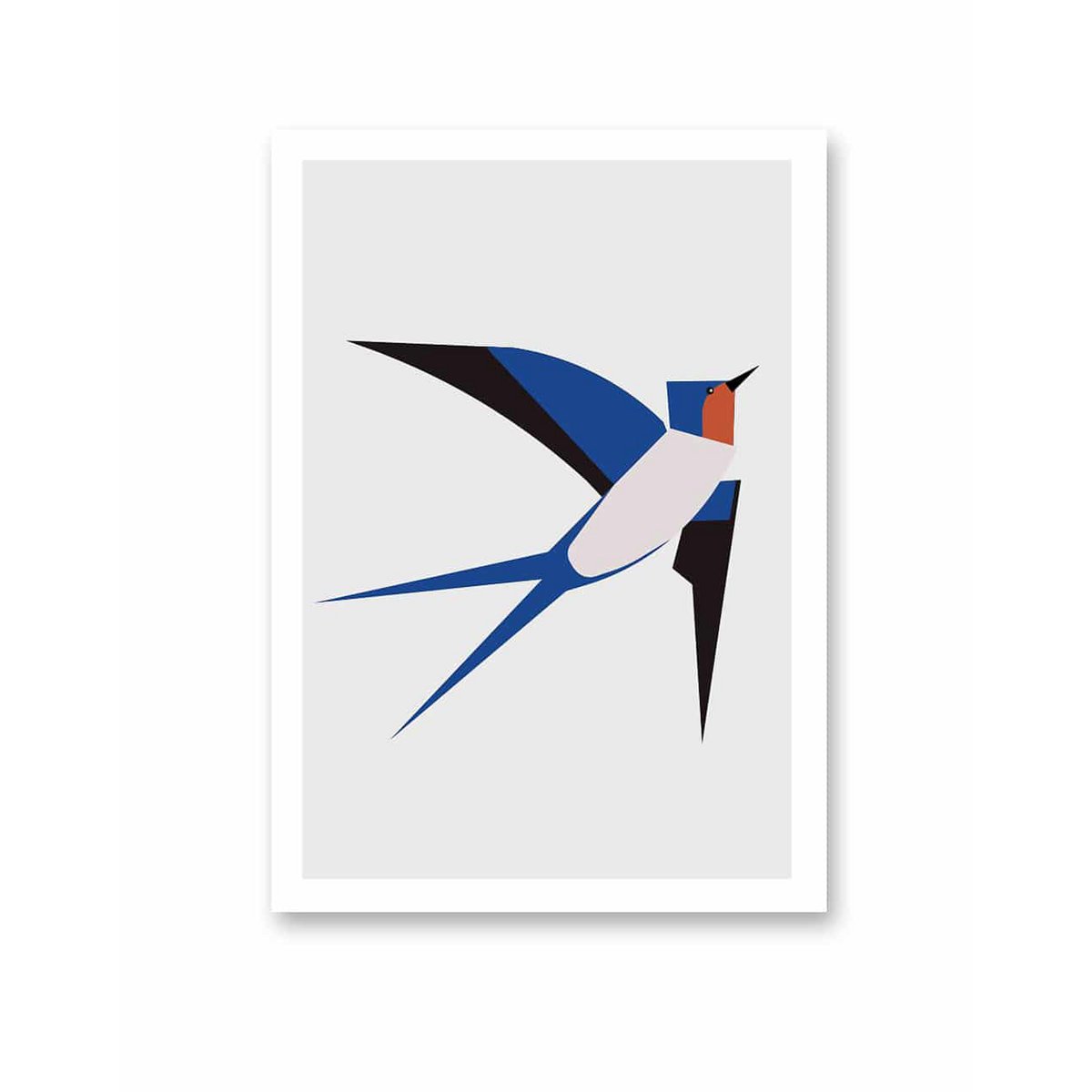 SWALLOW | FSC® postcards | Dutch Design