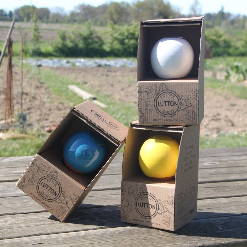 Mini Ollas zum Pflanzen