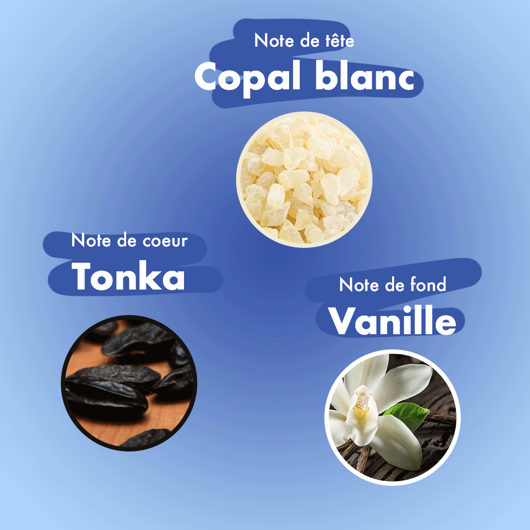 Franse natuurlijke wierook - TONKA/VANILLA